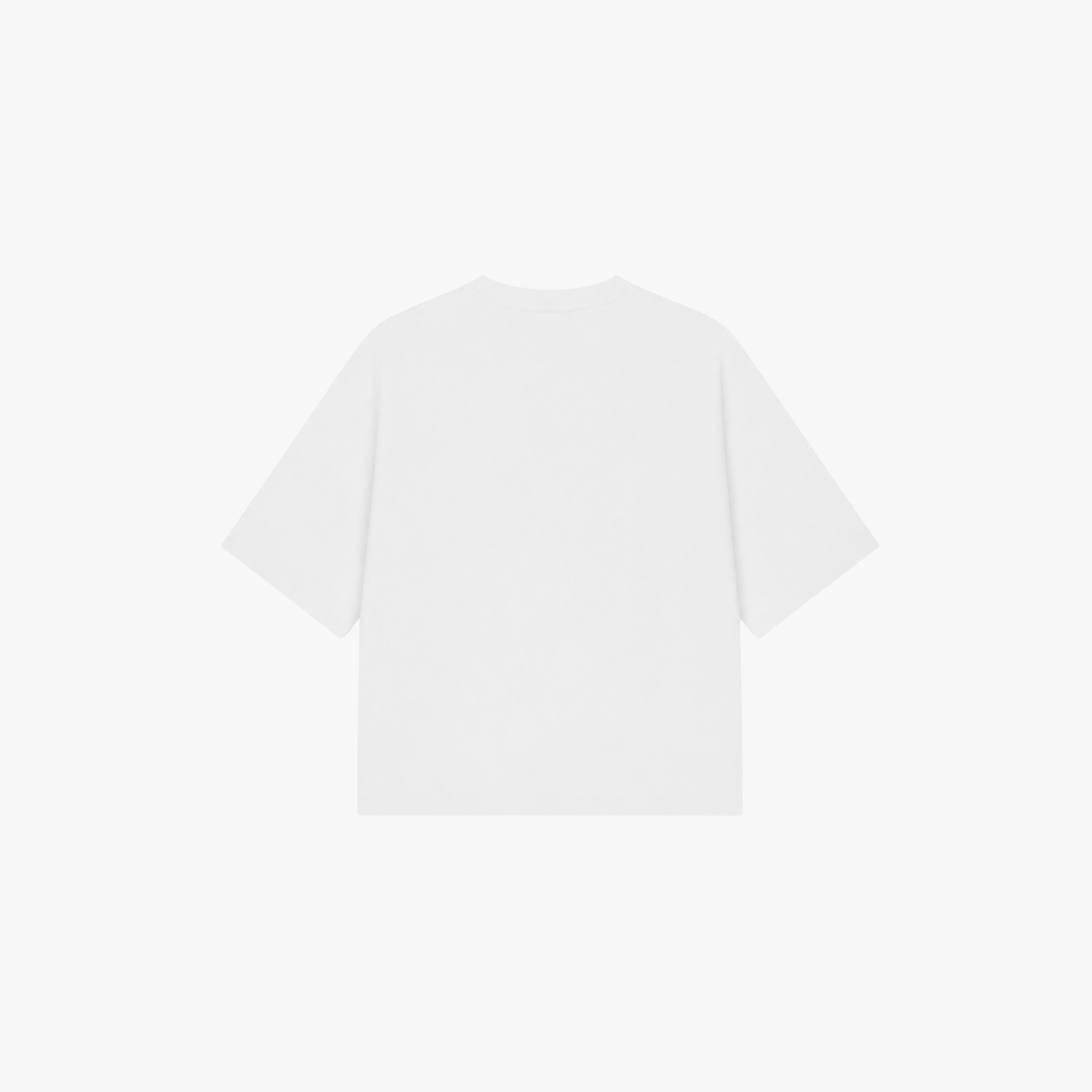 LPSTDS Tee - White - Blue